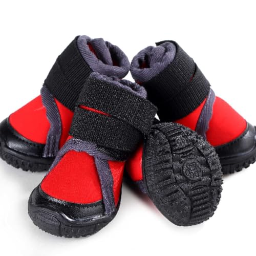 Nikkashop C EȂ ɂ S h ₷ ʋC y  4 bh LTCY