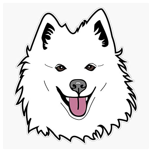 MAGNET American Eskimo Magnetic Sticker Vinyl Waterproof Magnet Decal Car 5"