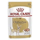 Wet food Royal Canine Adult Chihuahua Pouch - Caja 12 x 85 g (1020 g)