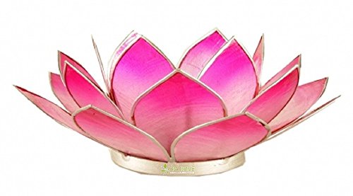 Sp@Privé Titular de Vela portavela Capiz Forma de Flor de Loto Rosa 13,5 cm