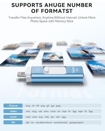 MFi Certified 256GB iPhone Flash Drive, Photo Stick Memory Stick for iPhone iPad, USB Thumb Drive for Photos Videos Transfer & Backup, External Storage Compatible for iPhone/Android/PC/Mac (Blue)