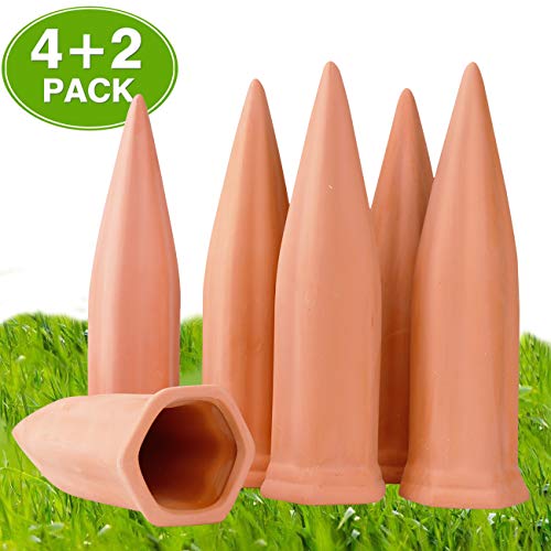Best Watering Spikes