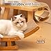 PETCUTE 2 in 1 Cat Scratchers for Indoor Cats,Corrugated Cat Scratching Board,Durable Recyclable Cardboard Cat Scratch Lounge for Furniture Protection,Easy to Install,Cat Beds for Indoor Cats