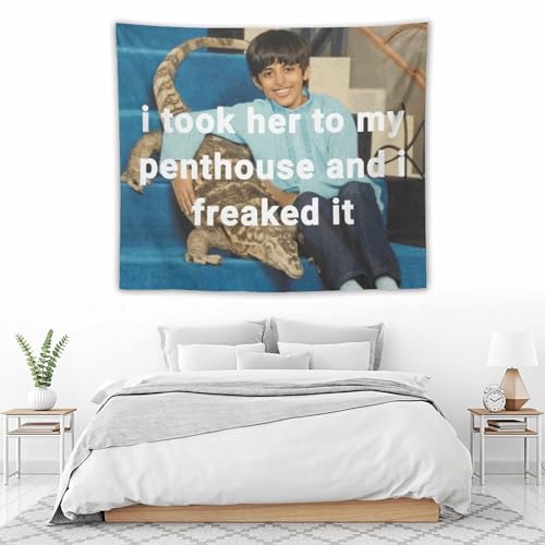 Dishilu I Took Her To My Penthouse Tapestry Art Wall Hanging Funny Meme Tapestries For Bedroom Living Room Home Decor 50 Inchx60 Inch thumb #4