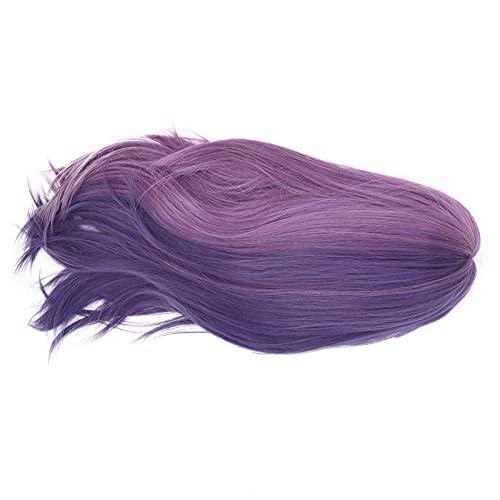 Perucas Sintéticas, Peruca Feminina, Peruca Longa Requintada Feminina, Elegante Festa de Cosplay, Pe