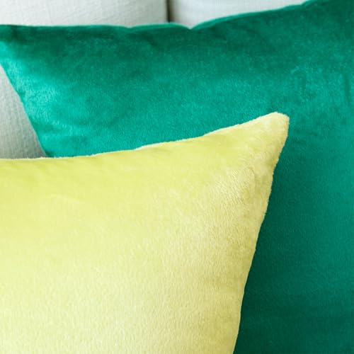 Image of Encasa XO Velvet Throw Pillow Covers 12x20 in (30x50 cm) - Pale Lime - No Inserts, Pack of 2 Cases | Solid Plain Dyed Soft & Smooth, Square Decorative Cushion Covers for Living & Bedroom