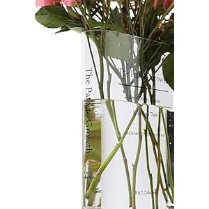 B&T Collection Clear Acrylic Book Vase for Flowers w/Inspirational Message – Modern Room Decor: Clean Girl Aesthetic Vase – Book Vase for Neutral Decor – Cute Housewarming Gift BT Collection Clear Acrylic Book Vase for Flowers wInspirational Message–Modern Room Decor Clean Girl Aesthetic Vase–Book Vase for Neutral Decor–Cute Housewarming Gift