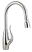 Franke FF2400R Tulip Single Handle Pull-Down Kitchen Faucet, Chrome