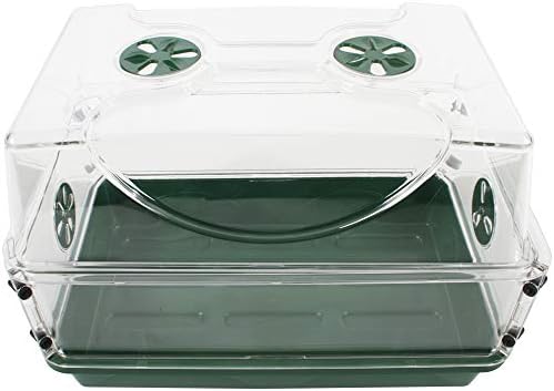EarlyGrow 93763 Medium Seed and Herb Domed Propagator with Vented Side Height Extension, Extender, Green