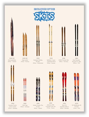 Libemz, Evolution of the Ski Snowboard Poster - Unframed (12x16
