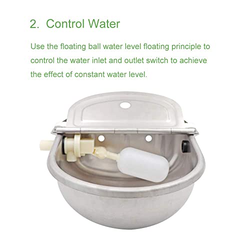 Cprosp Automatic Cow Drinking Water Bowl With Ght 3/4'' Adapter, With Pipe Hose Stainless Steel Pet Supplies G1/2" M20/20Mm Thread #TOP2