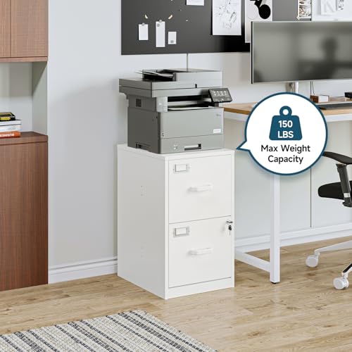 Image of MIIIKO 2 Drawer Filing Cabinet with Lock, Metal Vertical File Cabinets for Home Office, Lockable File Storage Cabinets Under Desk, Letter /A4 File Folders Storage（White-Assembly Required