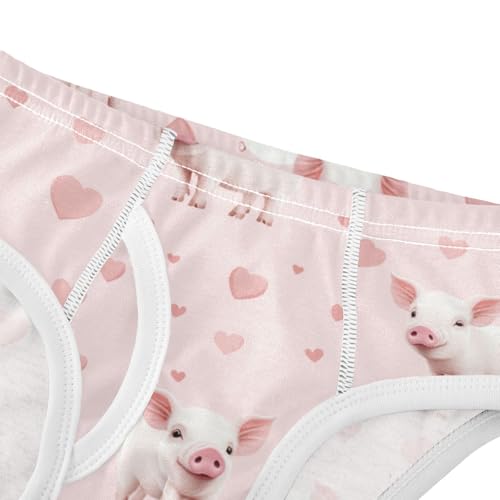 White Pigs Boys' Underwear Cotton Pink Hearts Boys Briefs Soft Toddler Underwear 2T4