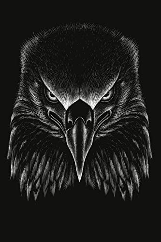 Eagle Notebook: Blank Lined Journal, Softcover (6x9 inches) with 120 Pages