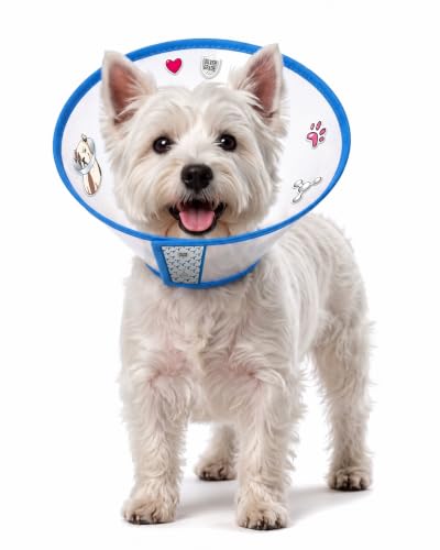Image of SILVER GRADE Protective Dog Cone Collar for Recovery, Size L, 14.2-16.5 in