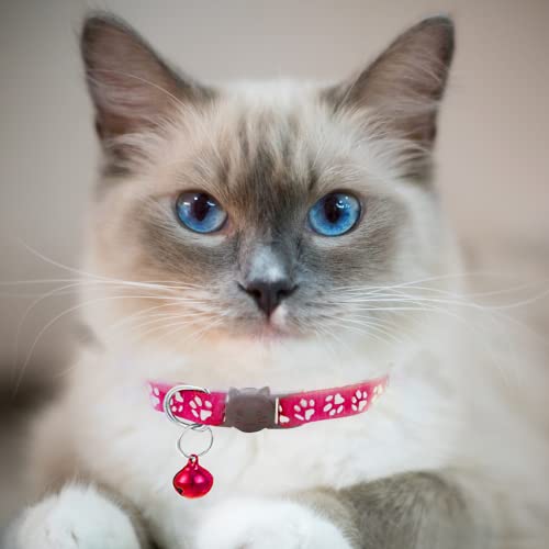 Hepplly 2-Pack Cat Collars Quick Release Reflective Kitten Pet Collar with Bell (Dark Pink) - Image 2
