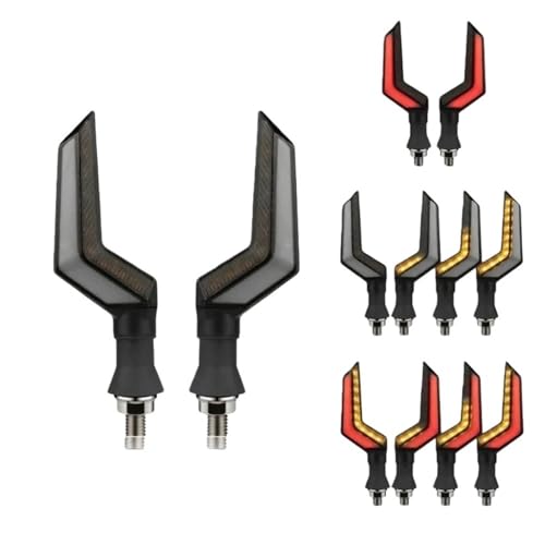 Trasero parada luz 12V con intermitentes dinámicos para motocicletas 7