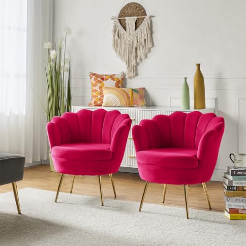 Image of HULALA HOME Modern Velvet Accent Chairs Set of 2 with Shell Shaped Back, Cute Living Room Bedroom Armchairs Sofa Chairs with Gold Legs, Comfy Upholstered Vanity Chairs for Makeup Room, Fushia