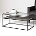 Walker Edison Modern Reversible Shelf Rectangle Coffee Table Living Room Accent Ottoman Storage Shelf, 40 Inch, Marble and Concrete