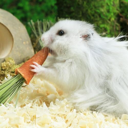 GANAZONO 18 peças de palitos de dentição de cenoura, hamster, coelho, brinquedos molares, brinquedos