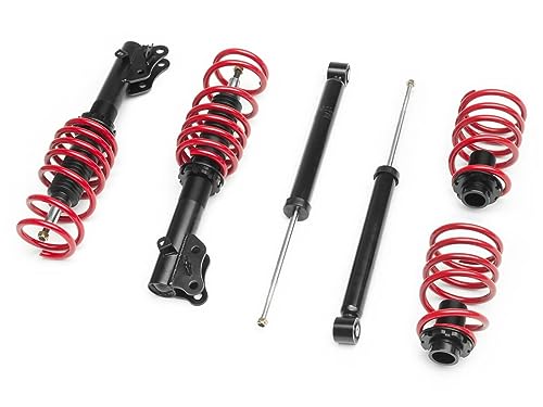 Raceland Classic Coilovers
