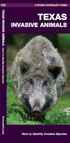 Texas Invasive Animals (Nature Observation North America)