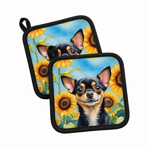Caroline's Treasures Chihuahua in Sunflowers Pair of Pot Holders Kitchen Heat Resistant Pot Holders Sets Oven Hot Pads for Cooking Baking BBQ, 7 1/2 x 7 1/2