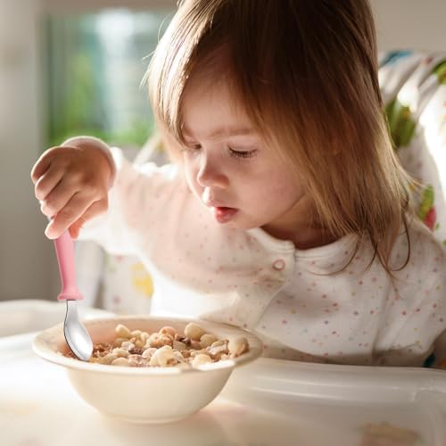 Image of 12-Piece Toddler Fork and Spoon Set, Stainless Steel, Dishwasher Safe | Plastic handles, rounded edges, easy-grip size for little hands, BPA-free, reusable for daily self-feeding