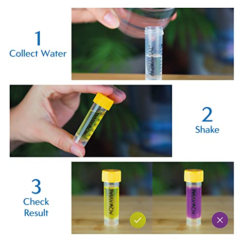 AquaVial Swim Water Swimming Pool Testing Kit 2 Pack | Identifies Pseudomonas and Coliforms Ecoli | Testing Kit for Swimming Pool Water Hot Tub Spa Pond | Home Water Purification Tester Outdoor