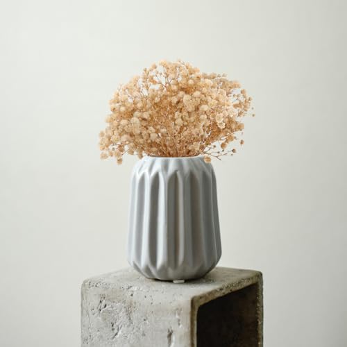 Ramo de flores secas Gypsophila Luxshiny 5 piezas miniatura 4