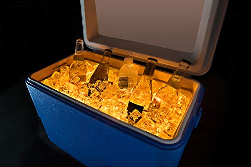 Brightz Coolerbrightz Led Cooler Light Accessory, Gold #TOP17