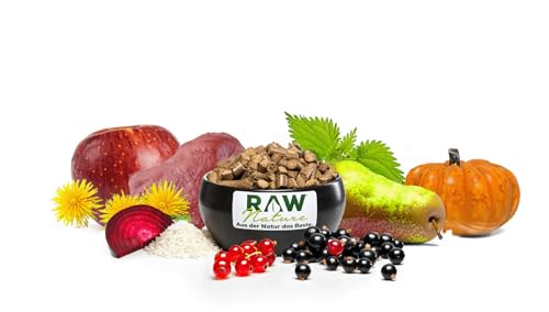 RAW Nature Trockenfutter Adult mit Ente 1kg, kaltgepresstes Hundefutter, Getreidefrei, 100% Muskelfleisch, hoher Fleischanteil, ohne künstliche Zusätze, für alle Rassen und Sensible Hunde geeignet