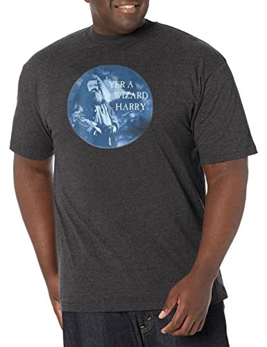 T-shirt XL Tall homme Warner Bros gris anthracite fin du problème de vêtement trop court
