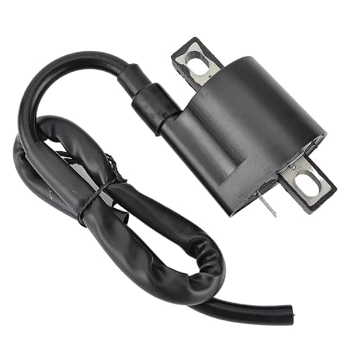 Bobina de encendido para solucionar fallos de arranque en tu Suzuki QuadRunner 33410-02C01 2
