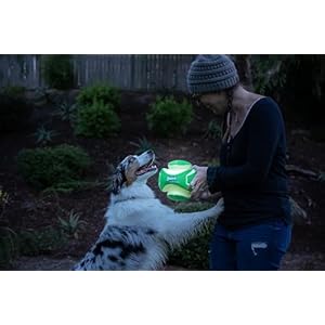 ChuckIt-Kick-Fetch-Dog-Toy-Ball-Glow-In-The-Dark-Small - Cucciolini Doodles   ChuckIt-Kick-Fetch-Dog-Toy-Ball-Glow-In-The-Dark-Small