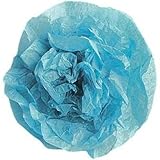 5060863281041 Papel de seda turquesa para manualidades, floristería, papel de regalo, sin ácidos, grande, 80 hojas, 500 x 750 mm (turquesa), vegano, reciclable