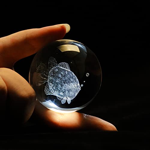 Vskikris 3D Crystal Ball With Tropical Fish Figurines Glass Balls With Stand 3D Crystal Sphere Paperweight Gifts #TOP1