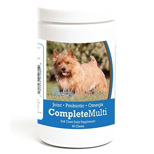 Healthy Breeds Norwich Terrier All in One Multivitamin Soft Chew 90 Count