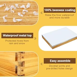 BEEKNOWS 8 Frame Bee Hive Starter Kit for Bee Keekeepers - Langstroth Beehive Kit with 2 Honey Bee Hives Boxes