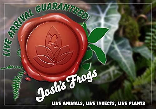 Clean AIR Houseplant Multi-Pack Gift Collection with Eco-Friendly Rice Hull Pots (3 Plants)