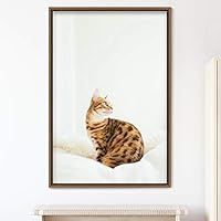 Framed Canvas Wall Art Cat Animals Cat Chic Multicolor Photography Urban - 16x24 inches