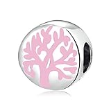 ♥: Las hermosas cuentas de plata de ley son el regalo perfecto para las madres, excelentes regalos personalizados para aniversarios y cumpleaños, para novias, esposas, hijas, novias y amigos.