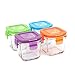 Wean Green Glass Baby Food Storage Containers, Wean Cube 4 Ounces, Garden Pack (4 Pack)