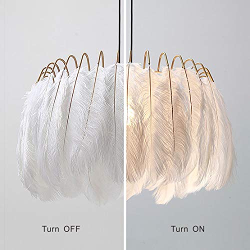 Lustre suspendu plumes solution deco sans travaux avec prise