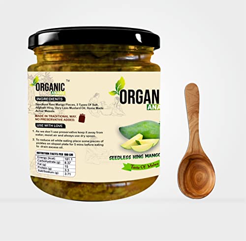 Image of Anand Organic Homemade Seedless Hing Mango Pickles 500gram Oil-Free Traditional Khatta Aam ka Achar, No Preservative