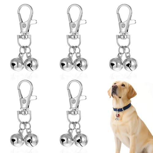 Tweruna 5 ̎֗pxA֗pVo[hbOxA^̎փx uX^[NXvt ƔLp