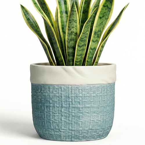 Teagas Ceramic Planter, 8 Inch Plant Pot, Round Flower Pots, Blue