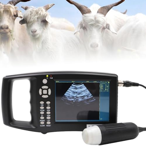 Analizzatore veterinario di ultrasuono - schermo ad alta risoluzione del LED per la diagnostica degli animali da fattoria