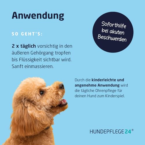 Hundepflege24 Ohrenreiniger für Hunde Akut - Extra-starker Hundeohr Reiniger bei Entzündungen & Infektionen - Natürliche Ohrentropfen für Hunde mit Piroctone Olamine, Kamille & Aloe Vera 250ml