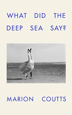 What Did the Deep Sea Say? cover image